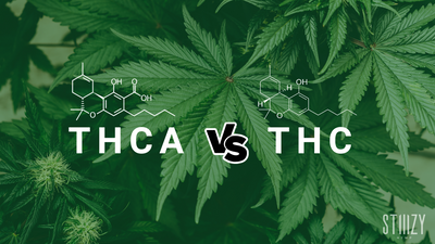 THC vs. THCA: Understanding the Differences